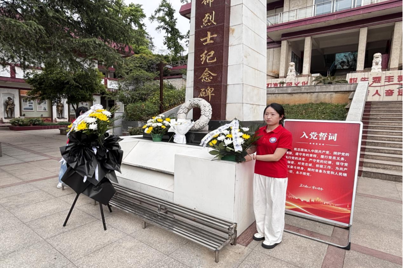 31762F2E5ABB37263D2E519F409_AA0DBB2E_1C11CD