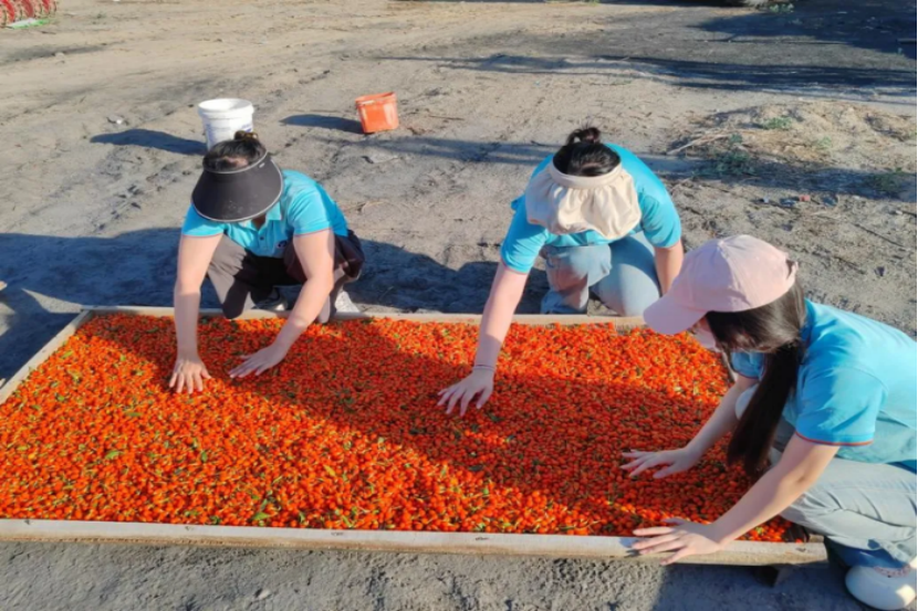 545C35CCE16C83FC1B906847E16_25C812B0_1C11CD