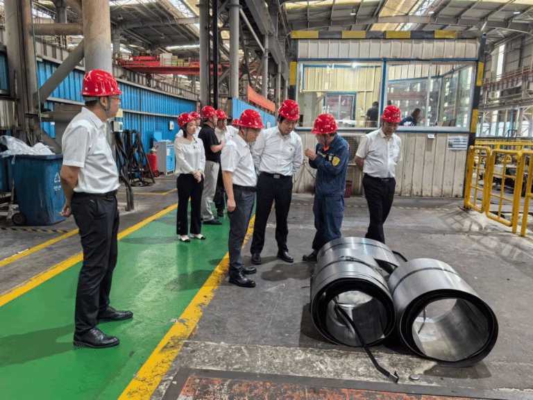 D54289940E83CB2AD919EB07B75_B613C52D_43315