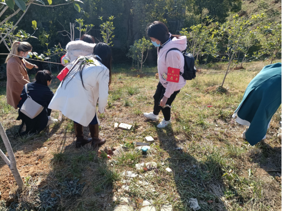 F223718C32859940ECA7BAB63A2_52BCC441_DD3AB