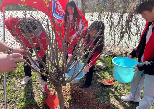 2016BD5D60F43387E7B2DD87304_66A4E18D_129A5