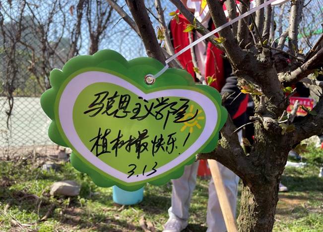 21378EAB851A33CDE532189D24D_CC0E4FD8_109D1